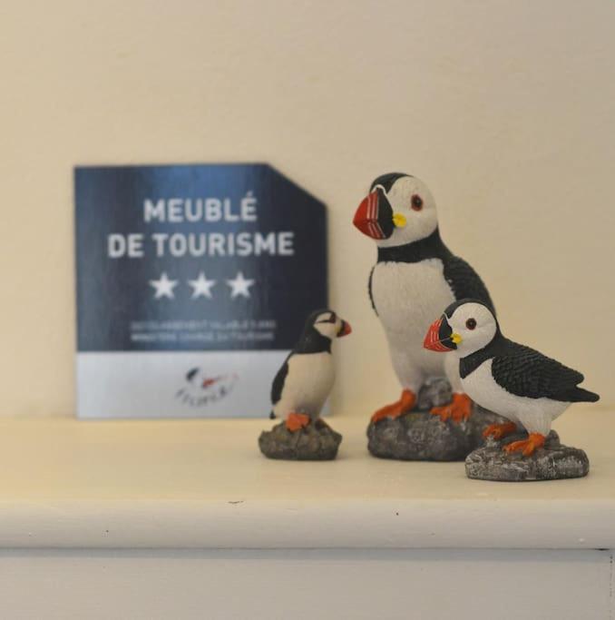 Maison Perros-Guirec 2 Chambres, Plages Et Centre Ville. 6 Pers. المظهر الخارجي الصورة